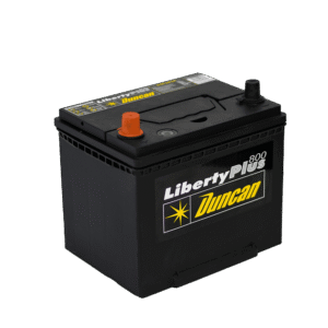 Batería Duncan 22M-800 – 12V 800CCA Libre de Mantenimiento